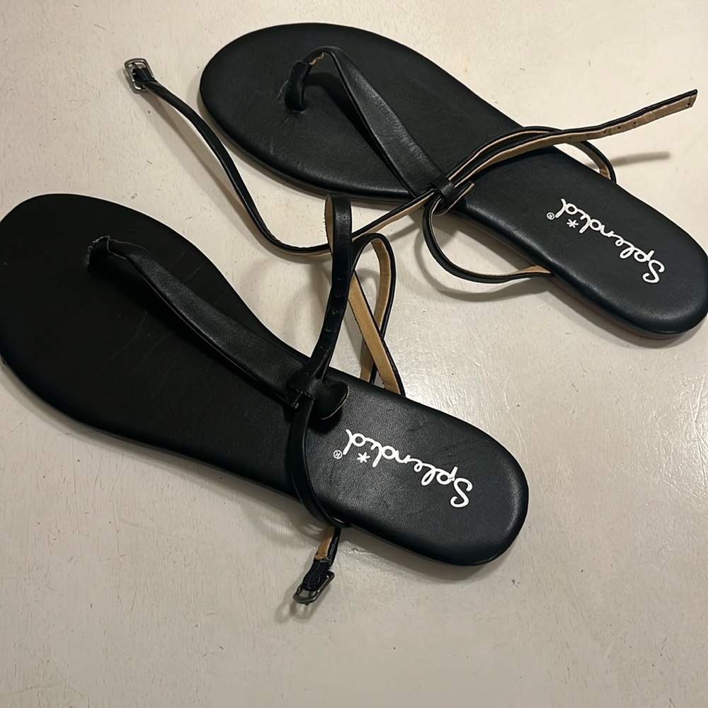 Splendid sandals